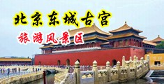 大屌插逼视频国产中国北京-东城古宫旅游风景区